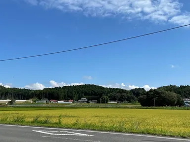窓からの風景