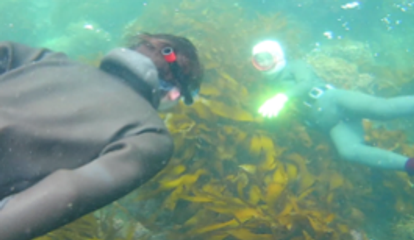 【宿泊費無料】近鉄・伊勢志摩ワーケーション
「伊勢志摩の魅力再発見モニタープラン」の参加者募集