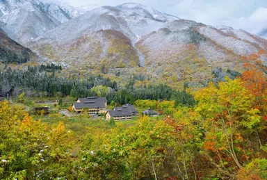 トヨタ白川郷自然學校の三段紅葉