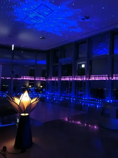 古代蓮の里イルミネーション イメージ