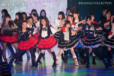 「KANSAI COLLECTION 2012 S＆S」の模様2