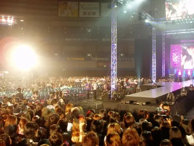 「KANSAI COLLECTION 2012 S＆S」の模様4