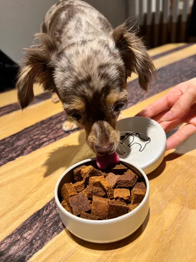 実際に試食している場面2