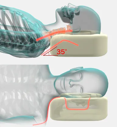 独特の形が正しい寝姿勢へ