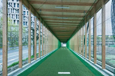 練習場内からの景色