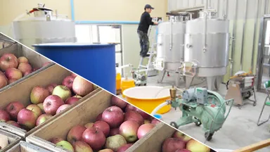 生果のりんごからつくる秋田のシードル