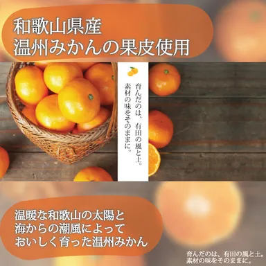 温州みかん原材料紹介