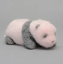 ほんとの大きさパンダの仔