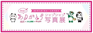 ありがとうシャンシャン写真展