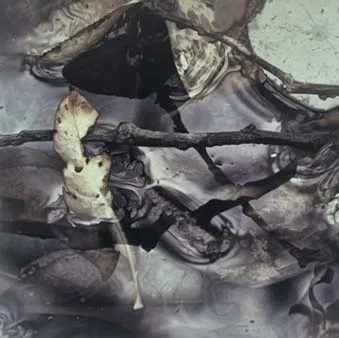 岡田修二　作品