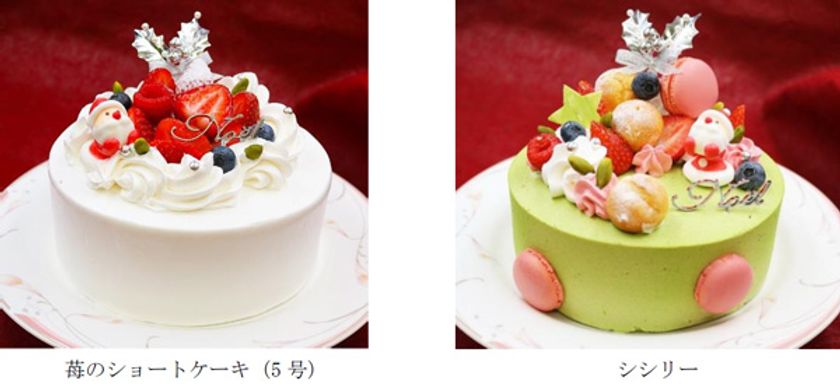 イタリア産ピスタチオを使用したケーキなど
聖なる夜を彩るクリスマスケーキ 2021
第一ホテル両国にて2021年11月1日（月）より
予約受付開始