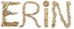 ERINのロゴ