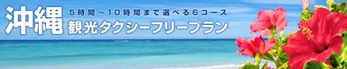 沖縄観光タクシーフリープラン