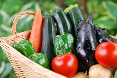 収穫物イメージ