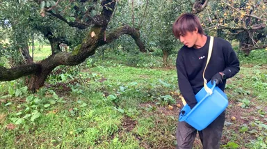 土壌分析を数値化した特別散布