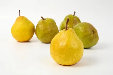 ぜひご賞味ください