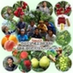 株式会社アンスリーファームのロゴ