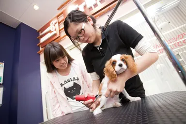 トリミング実習