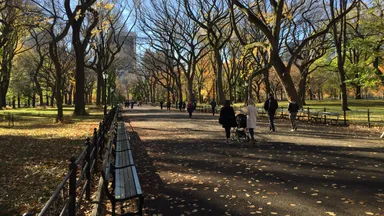 セントラルパーク(ニューヨーク)