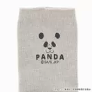パンダ　モデル