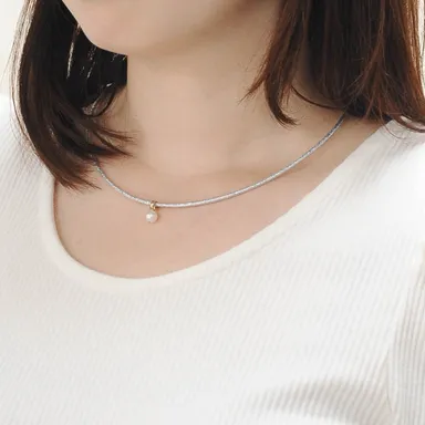 装着写真(シルバー色)