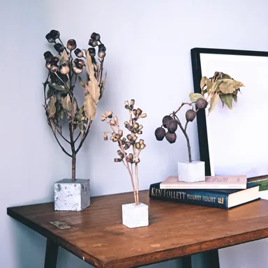 replants(リプランツ)