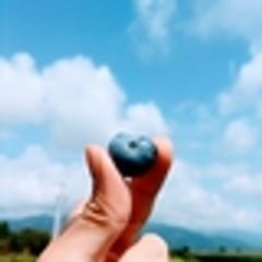 上高地ブルーベリー園のロゴ