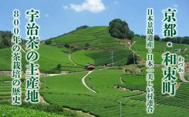宇治茶の主産地・京都和束町