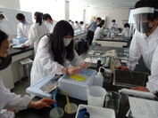 工学院大学附属中学校・高等学校の生徒が、東京薬科大学教授らから指導を受ける(2021年6月、7月実施の様子3)