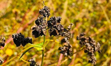 面白いがココ（夕張）にはある