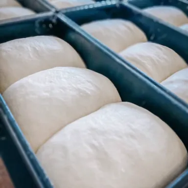 ワンハンドレッドの食パン