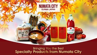 Qoo10フェア：沼田市11企業商品2