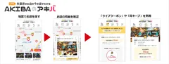 「AKIBAのアキバ」概要