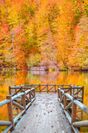 イェディギョルレル国立公園の秋景色