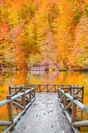 イェディギョルレル国立公園の秋景色