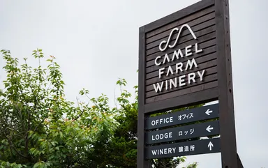 CAMEL FARM WINERY