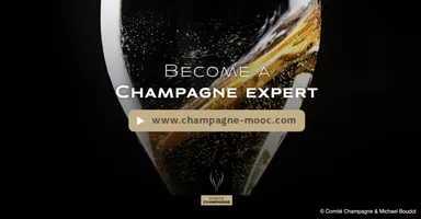 無料オンライン講座「シャンパーニュMOOC」が初めて完全日本語で提供されました