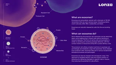 エクソソーム製造について