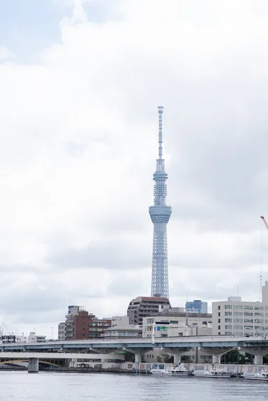 隅田テラスからはスカイツリーが！