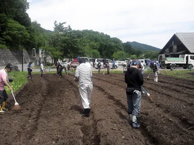 横の畑で種まきの様子