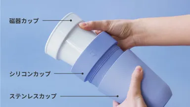 NEST CUPの構造
