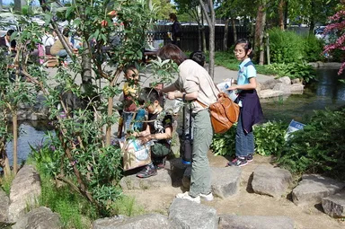 自然の中でロールプレイング