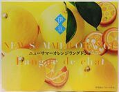 (大賞商品)ニューサマーオレンジ ラングドシャ　商品画像(外箱)