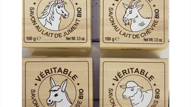 ビオミルクソープメイン