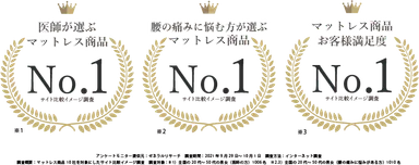 No.1獲得画像