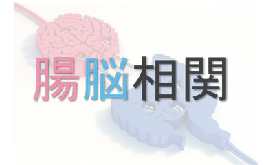 腸脳相関