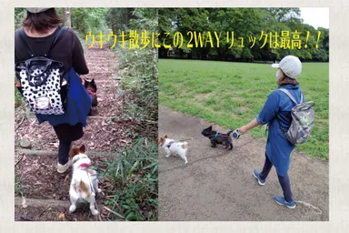 犬散歩でも大活躍
