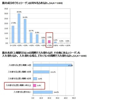 グラフ(肌の成分のうちコラーゲンは何％を占めるか／肌の表皮(上層部分)は28日周期で入れ替わるが、その奥にあるコラーゲンも入れ替わるか。入れ替わる場合、どれくらいの周期で入れ替わるか)