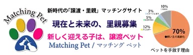Matching Pet -2