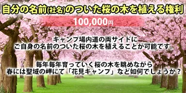 クラファン素材08